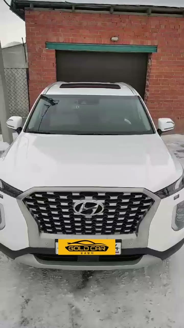 Николай, Hyundai Palisade